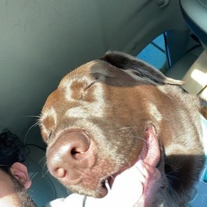 Meet your Posher, Vincent